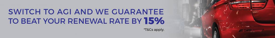 AGI-bmw-sg-web-banner.jpg