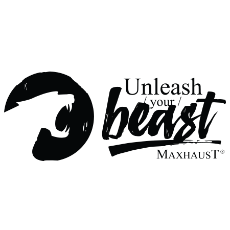 MaxhausT-logo.png