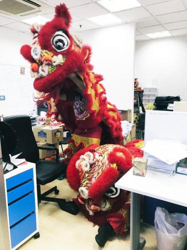 AGI CNY 2019 Lion Dance 26